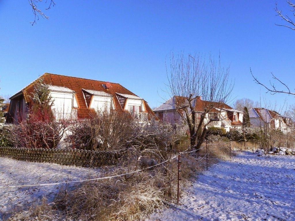 Ferienwohnung-Nils-Holgerson-Mit-Balkon-Zwischen-Strand-Wald-Wiese-Im-Suedosten-Der-Insel-Ruegen Gustow  エクステリア 写真