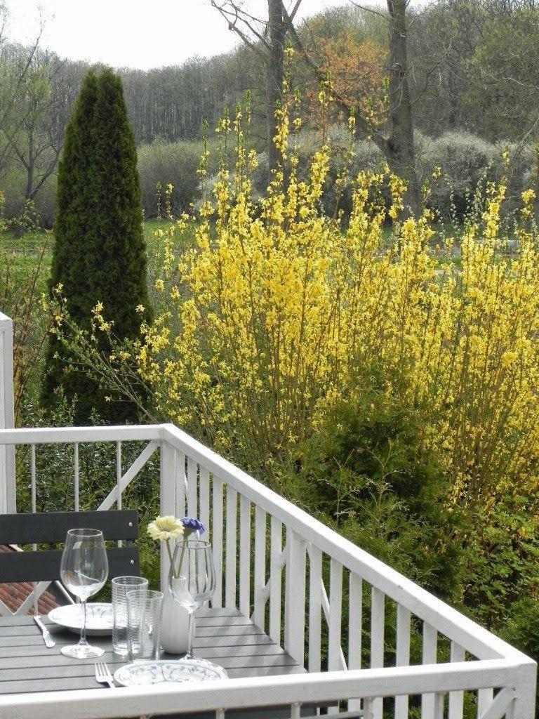 Ferienwohnung-Nils-Holgerson-Mit-Balkon-Zwischen-Strand-Wald-Wiese-Im-Suedosten-Der-Insel-Ruegen Gustow  エクステリア 写真